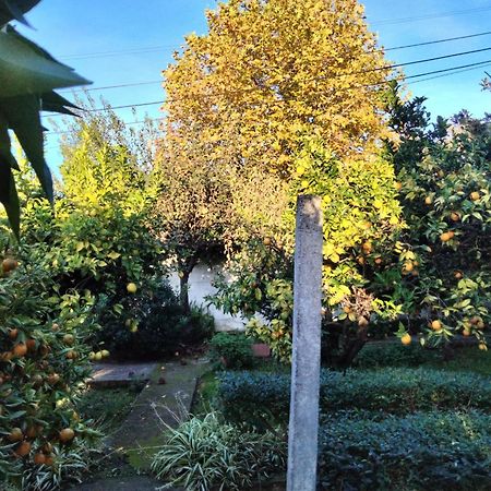 Santarém Casa Xantarim Bed & Breakfast エクステリア 写真