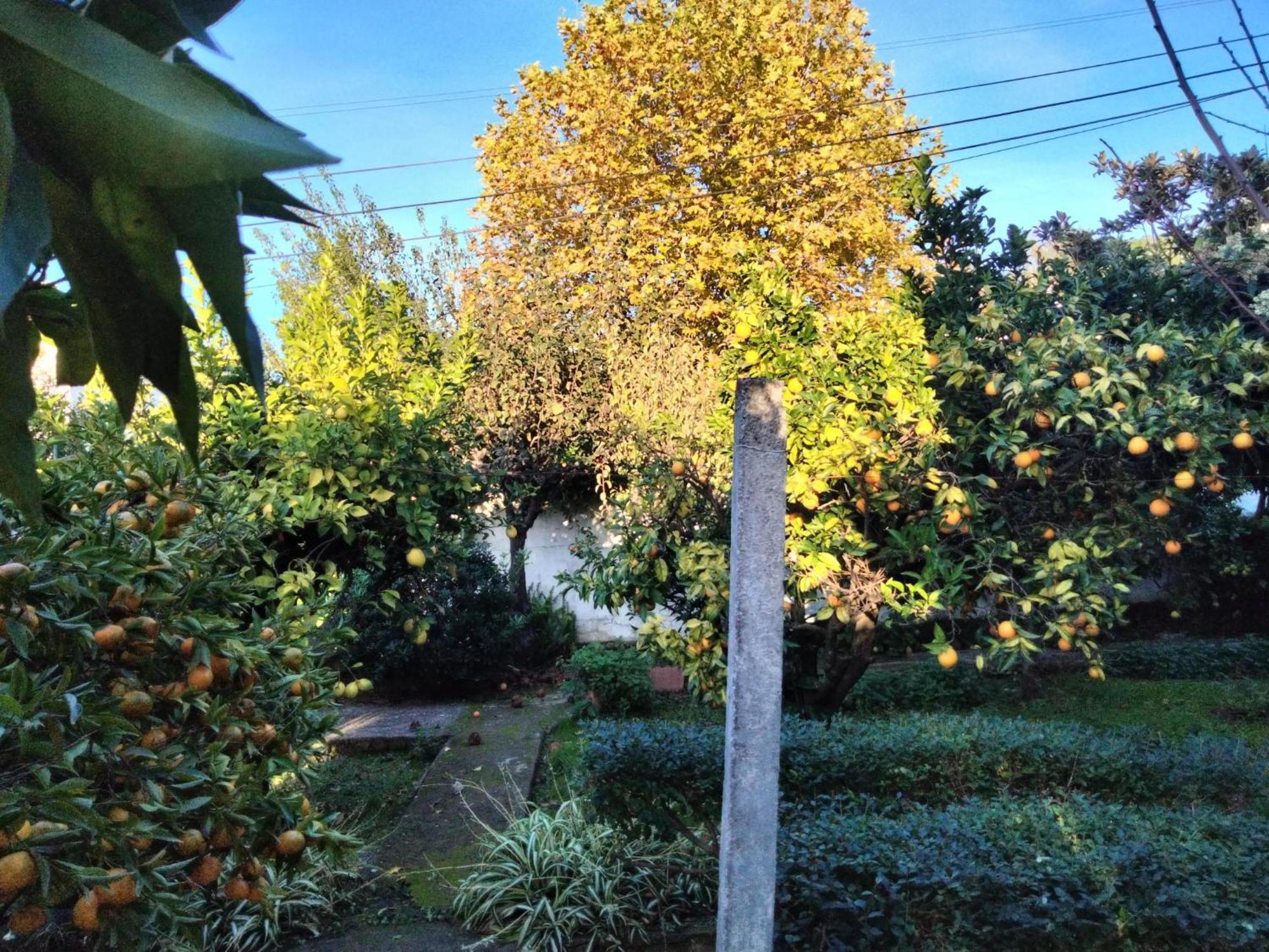 Santarém Casa Xantarim Bed & Breakfast エクステリア 写真