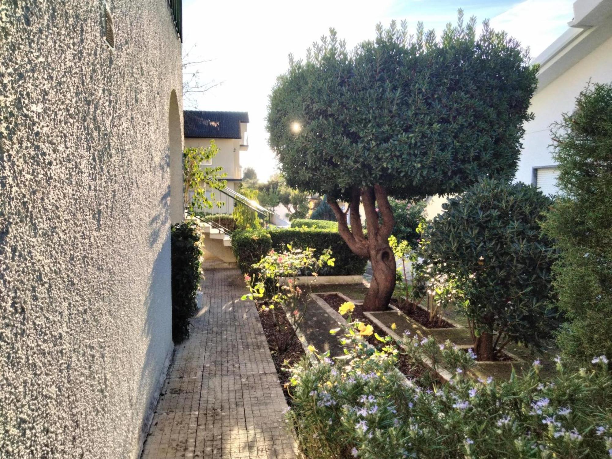 Santarém Casa Xantarim Bed & Breakfast エクステリア 写真